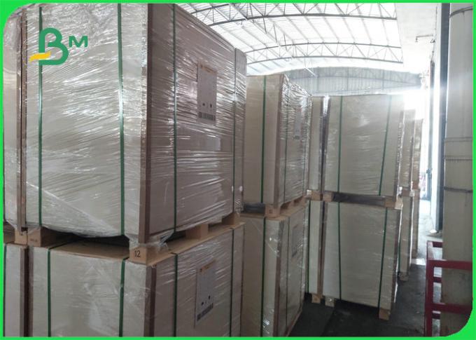 300gsm + 15gPE Biodegradable Food Container Cardboard 100% Harmless