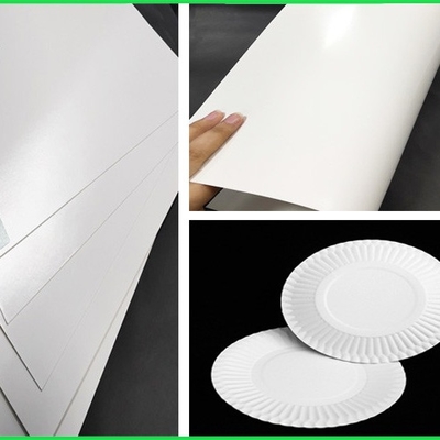 एफडीए और एसजीएस 300 ग्राम कागज प्लेटों के लिए पीई लेपित पेपर व्हाइट एफबीबी बोर्ड को मंजूरी दी