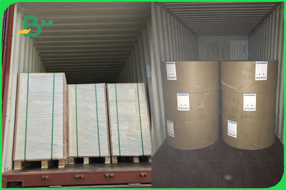 एफएससी एफडीए व्हाइट फूड सेफ एफबीबी बोर्ड 15 जी पीई कोटेड पेपर फॉर कप मेकिंग कस्टम