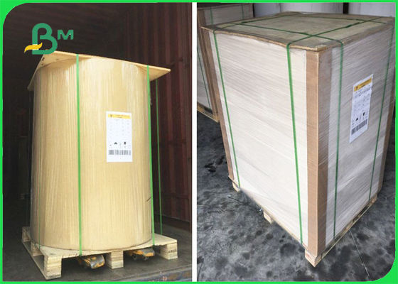 FSC प्रमाणित फ्लिप साइड क्राफ्ट पेपर शीट्स वन साइड व्हाइट 32 × 40 '' में