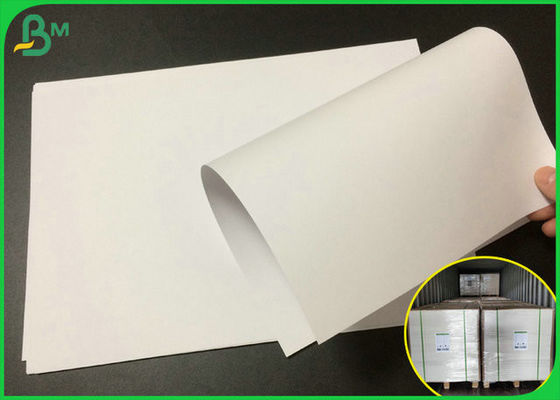 पारिस्थितिकी - पेपर बैग के लिए अनुकूल ऑफसेट प्रिंटिंग पेपर रोल 140 ग्राम