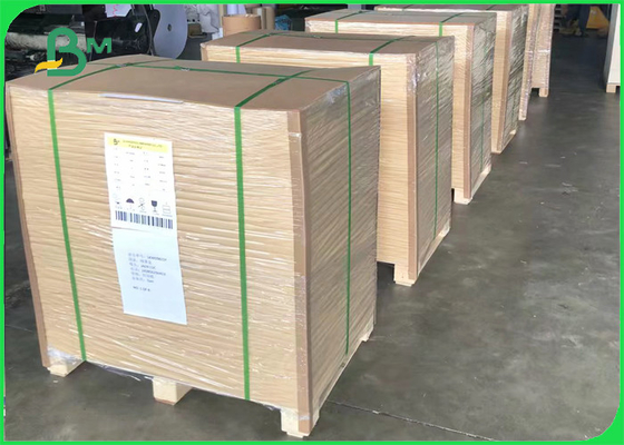 120gsm C2S ग्लॉसी कोटेड डबल साइड 70 X 100cm फ्लायर प्रिंटिंग पेपर