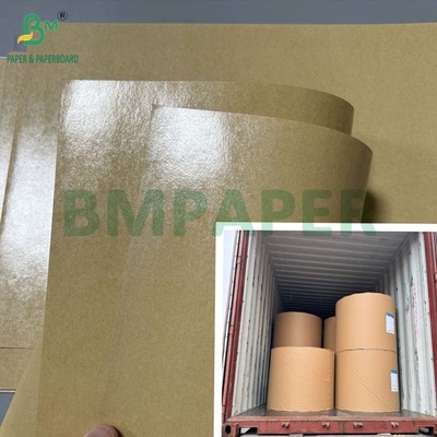 लंच बॉक्स के लिए 300 ग्राम वसा प्रतिरोधी 1 साइड पीई लेपित पेपरबोर्ड 70 x 100 सेमी