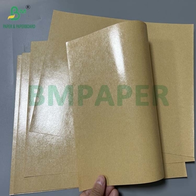 लंच बॉक्स के लिए 300 ग्राम वसा प्रतिरोधी 1 साइड पीई लेपित पेपरबोर्ड 70 x 100 सेमी