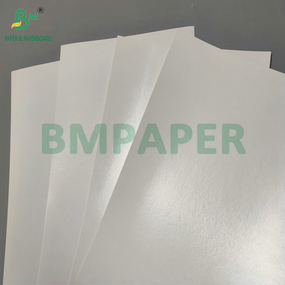 Water Resistant Single PE Coated 190gsm 210gsm Cupstock For Making Hot and Cold Paper Cups पानी प्रतिरोधी एकल पीई कोटेड 190gsm 210gsm कपस्टॉक गर्म और ठंडे कागज कप बनाने के लिए