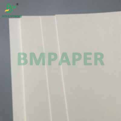 Water Resistant Single PE Coated 190gsm 210gsm Cupstock For Making Hot and Cold Paper Cups पानी प्रतिरोधी एकल पीई कोटेड 190gsm 210gsm कपस्टॉक गर्म और ठंडे कागज कप बनाने के लिए