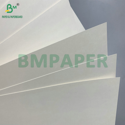 Water Resistant Single PE Coated 190gsm 210gsm Cupstock For Making Hot and Cold Paper Cups पानी प्रतिरोधी एकल पीई कोटेड 190gsm 210gsm कपस्टॉक गर्म और ठंडे कागज कप बनाने के लिए