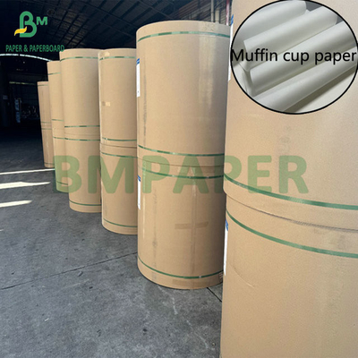 380 मिमी रील 30 ग्राम Greaseproof Muffin Cup Paper To Parchment Paper Cups 380 मिमी रील 30 ग्राम Greaseproof Muffin Cup Paper To Parchment Paper Cups