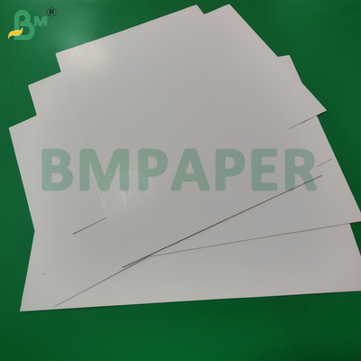 300gsm Clay Coated SBS Board For Food Trays 610mm x 914mm Excellen Strength