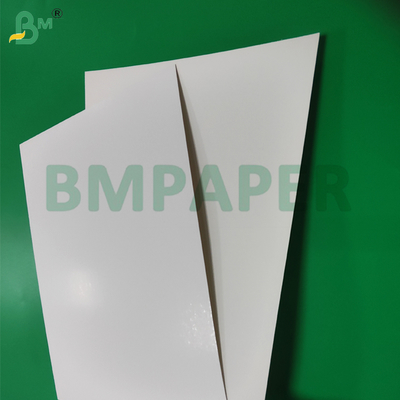300gsm Clay Coated SBS Board For Food Trays 610mm x 914mm Excellen Strength