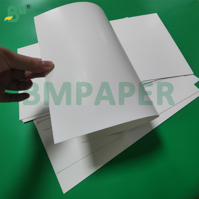 300gsm Clay Coated SBS Board For Food Trays 610mm x 914mm Excellen Strength