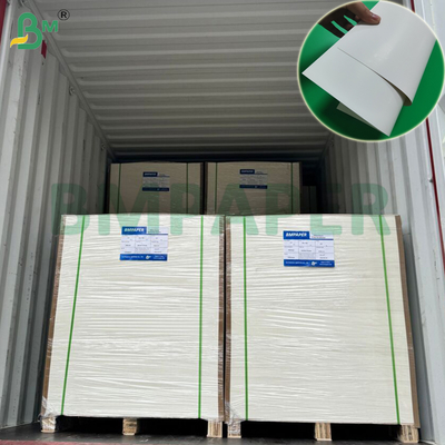 300gsm Clay Coated SBS Board For Food Trays 610mm x 914mm Excellen Strength