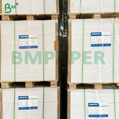 60 Gsm 42cm Roll Width Wood-free Offset Printing Paper Rolls