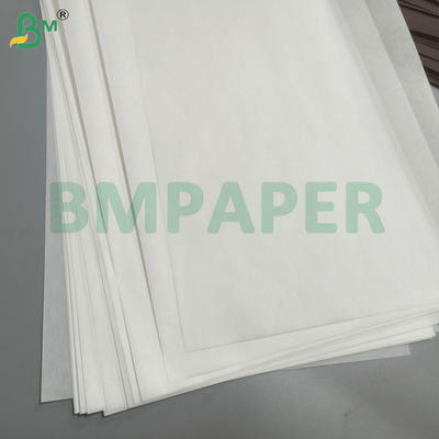 Greaseproof Cupcake Liner Muffin Paper Baking Cup Base Paper In White & Coffee