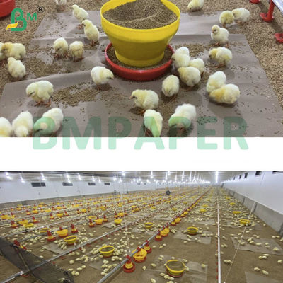 White Chick Rearing Paper Chicken Paper For Poultry Farming 66cm 100cm