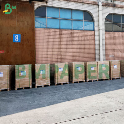 बेकिंग के लिए नॉन स्टिक कपकेक लाइनर रंगीन ग्रीसप्रूफ पर्गेमेंट मफिन लाइनर पेपर