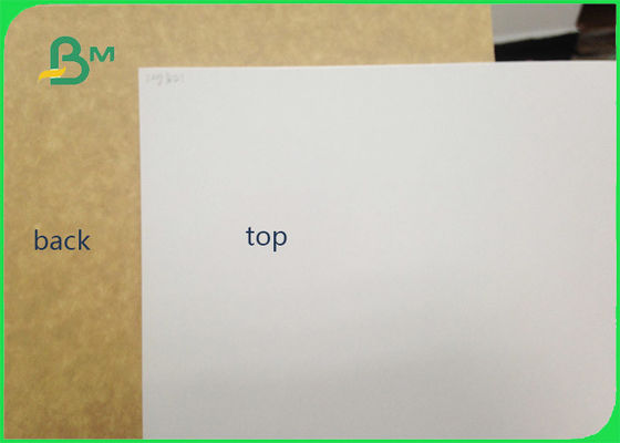 450gsm एफएससी प्रमाणित मिट्टी लेपित क्राफ्ट वापस खाद्य ग्रेड पेपर रोल / पैकिंग के लिए सफेद लाइनर पेपर