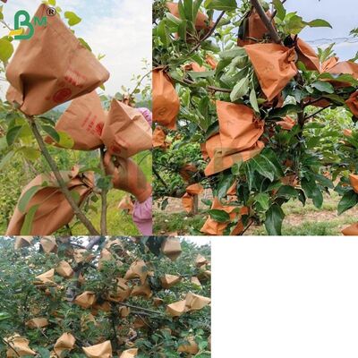 लाल बाहरी कागज सेब के लिए फल पैकेजिंग कागज, 56 ग्राम गैर वैक्स सेब बैगिंग कागज