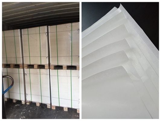 लंच बॉक्स एफएससी और एफडीए प्रमाणित के लिए एक तरफ पीई लेपित खाद्य ग्रेड पेपर रोल