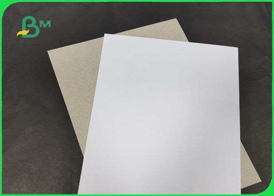 200 / 230gr C1S ग्रे बैक ग्रेड एए चौड़ाई 1250 मिमी के साथ एसजीएस और एफएससी प्रमाणित