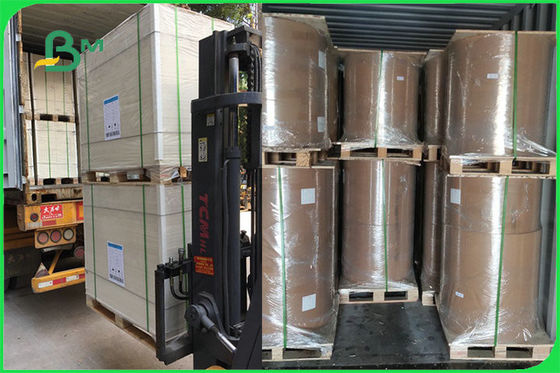 FSC एफडीए 300gsm आइवरी वन साइड कोटेड व्हाइट बोर्ड PE GC1 पेपर बाउल के लिए पेपर