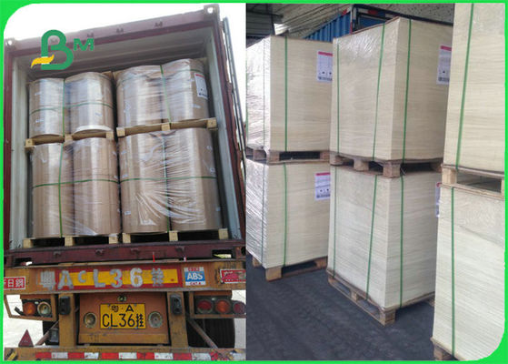 एफडीए एफएससी प्रमाणित खाना सुरक्षित गर्मी प्रतिरोधी बेकिंग पेपर ग्रिल कुकिंग बीबीक्यू के लिए