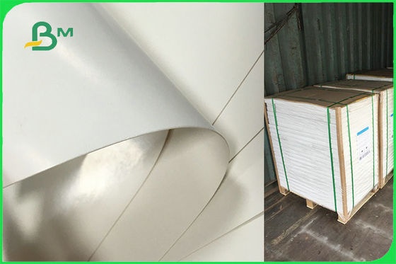 डिस्पोजेबल प्लेट्स एफएससी एफडीए स्वीकृत के लिए अनुकूलित सिंगल साइड पीई कोटेड पेपर