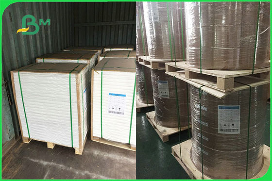 डिस्पोजेबल प्लेट्स एफएससी एफडीए स्वीकृत के लिए अनुकूलित सिंगल साइड पीई कोटेड पेपर