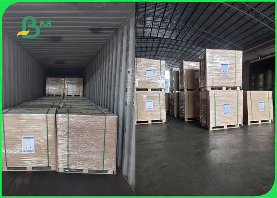 ब्रोशर चिकना के लिए एफएससी ने 70 जी 80 जी व्हाइट वुडफ्री पेपर रोल को मंजूरी दी