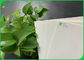 जैविक परीक्षण स्ट्रिप्स के लिए लकड़ी की लुगदी प्राकृतिक सफेद 0.6 मिमी 0.7 मिमी शोषक कागज