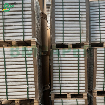 पत्रिका के लिए C2S डबल साइड ग्लॉसी पेपर शीट्स 787mm*1092mm