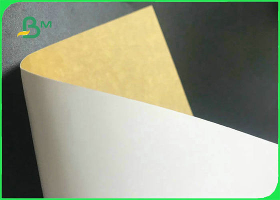 पर्यावरण के अनुकूल व्हाइट टॉप क्राफ्ट बैक 250 ग्राम - 360gsm फूड पैकेज के लिए