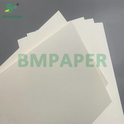 बायोडिग्रेडेबल और माइक्रोवेव सुरक्षित पेपरबोर्ड सलाद के लिए डिस्पोजेबल कटोरे बनाने के लिए