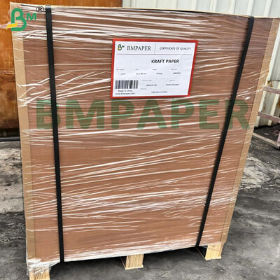 फल सुरक्षा बैग कागज सामग्री बाहर लाल / भूरा अंदर काला