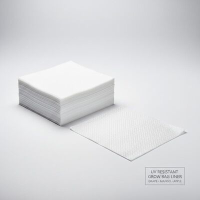 यूवी प्रतिरोधी अंगूर आम सेब की खेती बैगिंग पेपर आंतरिक परत लाइनर