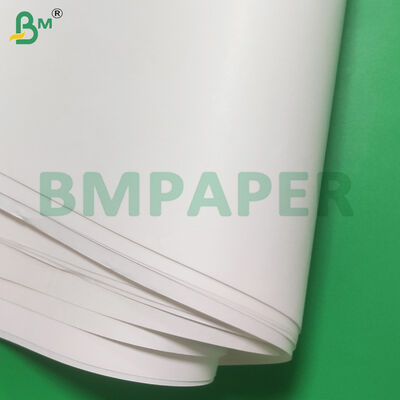 Food Grade Kraft Paper Roll Featuring Grammage Range 40gsm to 150gsm Suitable for Food Packaging Wrapping and Protection