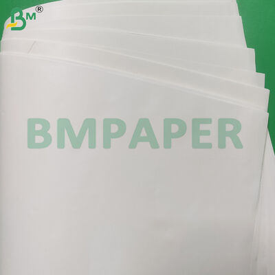 Food Grade Kraft Paper Roll Featuring Grammage Range 40gsm to 150gsm Suitable for Food Packaging Wrapping and Protection