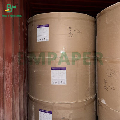 230gsm 240gsm +20PE Greaseproof White Food Grade Board For Bowls 70 x 100cm