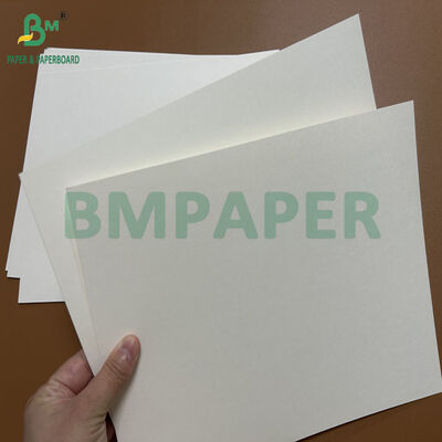 230gsm 240gsm +20PE Greaseproof White Food Grade Board For Bowls 70 x 100cm