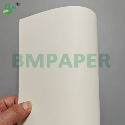 280gsm Single Side PE Coated Bowl Stock Paper Sheets Food Safe