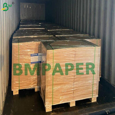 0.4mm - 2mm बोतल कैप सील लाइनर्स के लिए अवशोषक बेस पेपर, एक तरफ पीई