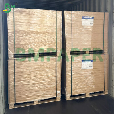 माइक्रोवेव - पेपर प्लेट्स, कप कट प्रतिरोधी के लिए सुरक्षित खाद्य पेपर