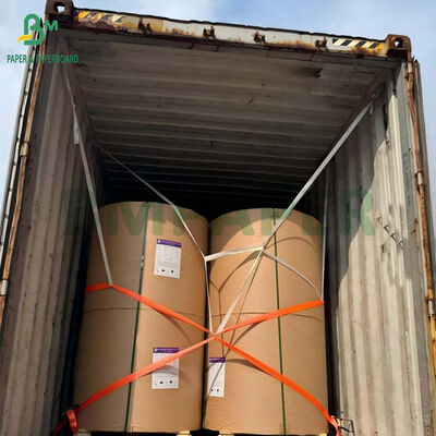 कॉफी कप के लिए फूडग्रेड 230gsm + 1 PE कोटेड कपस्टॉक पेपर 66 x 96cm