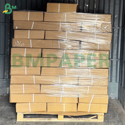 3 Inch Core Size CAD Plotter Paper Rolls for Engineering Print